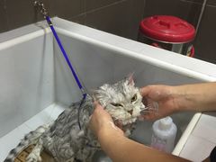 -宠宠熊宠物美容(星湖街店)