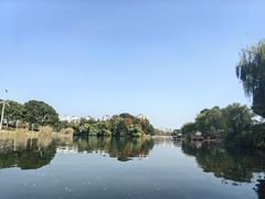 -新江湾城公园