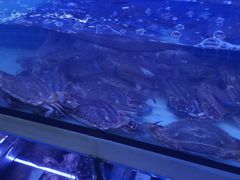 -阿伍海鲜大排档(塔湾金沙店)