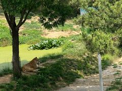 -西霞口神雕山野生动物世界