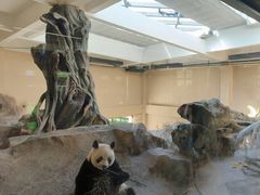 -宁波野生动物园