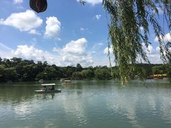 -老三羊汤【北兴隆街店】