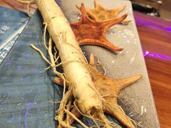 -千岛蚝高压锅生蚝·人参火锅(白云万达店)