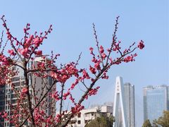 -月湖风景区