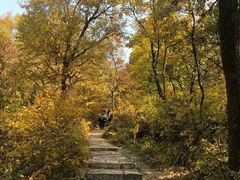 -白草畔自然风景区