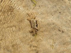 -东戴河风景区-止锚湾