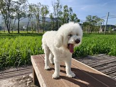 -芭比堂动物医院(广州爱宠下渡路分院)