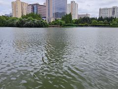 -黄兴公园