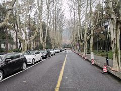 -浙江大学(玉泉校区)