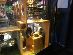 -Goku PET SHOP宠物视觉生活馆(双井店)
