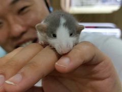 -藦茜花园宠物主题亲子互动体验馆(国顺东路店)