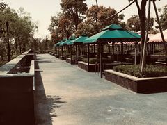 -春花秋色城市公园