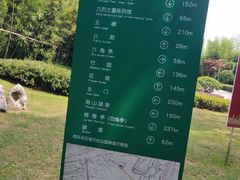 -菊花台公园