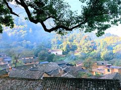 -杨家堂村