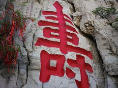 云门寿-青州市云门山风景区