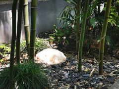 -胶囊画廊
