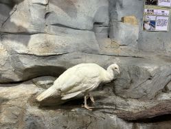 -Zoolung Zoolung动物主题公园(海信广场店)