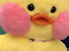 -PAWTOY爪e玩偶店(天兴罗斯福店)