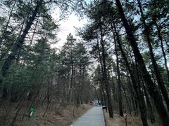 -帽儿山国家森林公园