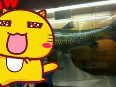 金牛湖标本-南京金牛湖风景区