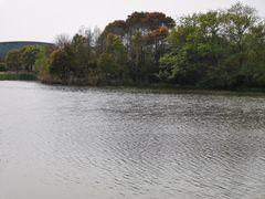 -新江湾城公园