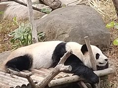 -南宁市动物园