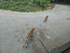 -大连森林动物园