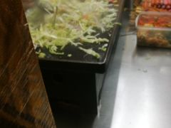 -大东北首席烤冷面(学府路店)