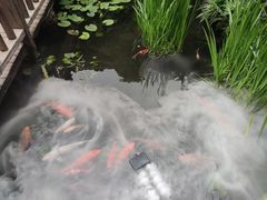 -凤凰山斑鱼馆(恭城店)