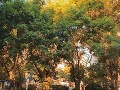 -深圳国际园林花卉博览园