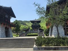 -大唐贡茶院
