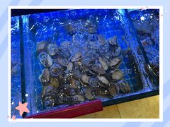 -阿湾楼·温州海鲜·江浙菜(京江路店)