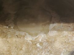 -杨氏青龙虾·羊蝎子(托乐嘉店)