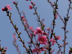 -常德桃花源景区