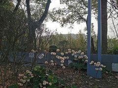 -上海月湖雕塑公园