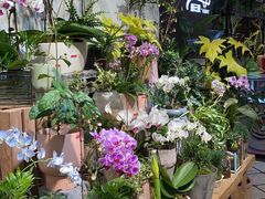 -缦云里花园餐厅