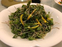 -上海老站(徐家汇店)