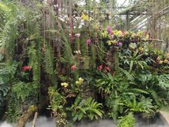 -石家庄市植物园