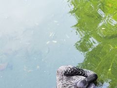 -三里河公园
