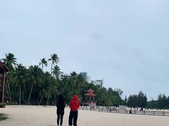 -东郊椰林