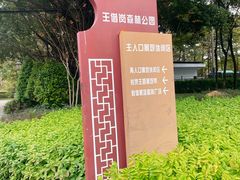 -王借岗森林公园