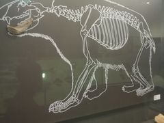 -北京周口店北京人遗址博物馆