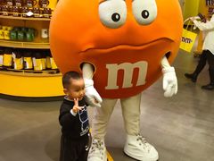 -m豆巧克力世界(上海世茂广场店)