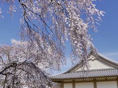 -醍醐寺