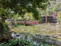 -野象谷景区
