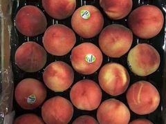 -上海龙吴水胜海发市场