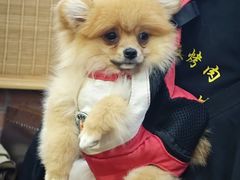 -老姐石板烧烤+铜炭火锅(总店)