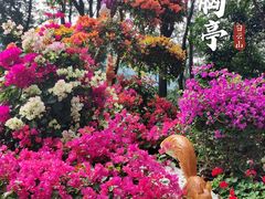 -广州市白云山风景名胜区