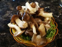 -菌海森林·非遗野生菌火锅(西山区滇池路摩根道店)