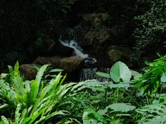 -广州兰圃
